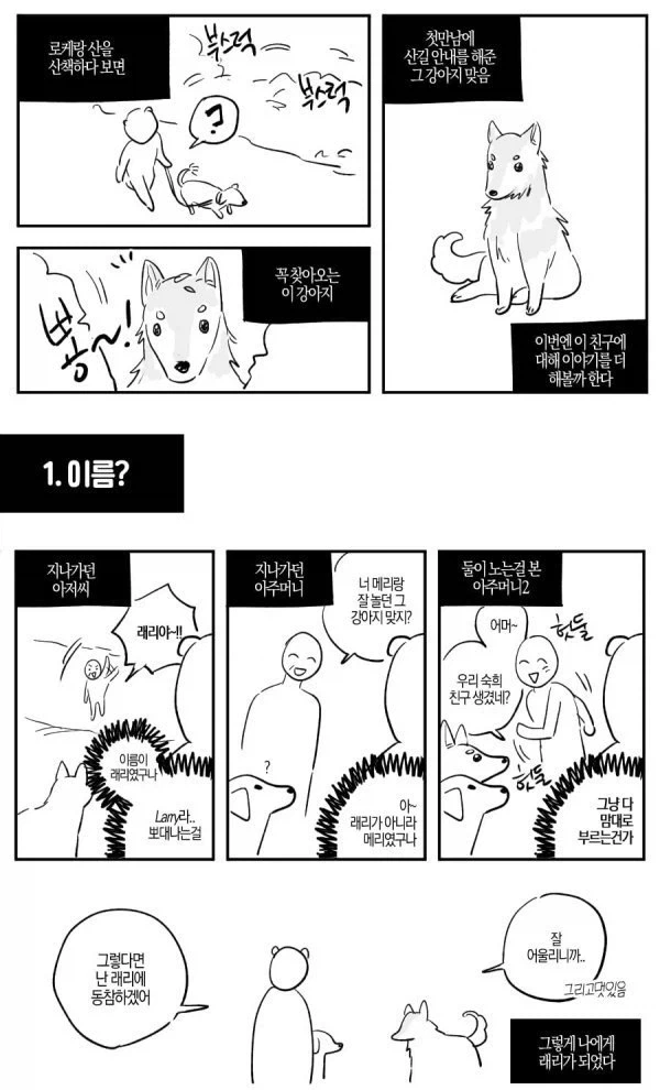 산에서 조난당했는데 유기견을 만난.manhwa - 이미지 4