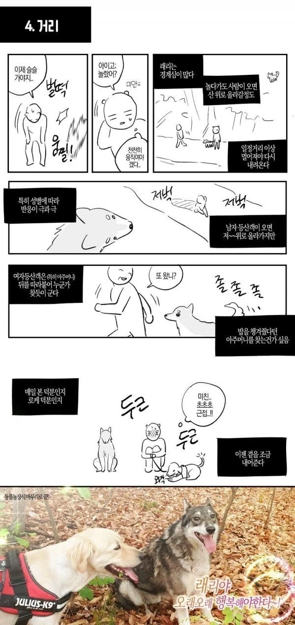 산에서 조난당했는데 유기견을 만난.manhwa - 이미지 7
