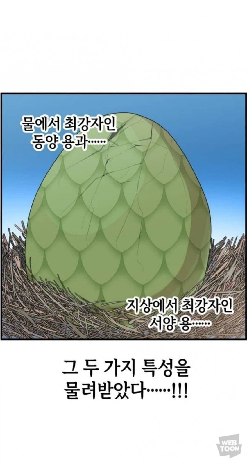 동양 용 vs 서양 용 만화 - 이미지 9