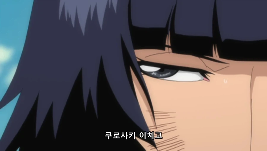 블리치) 소이퐁 답지 않았던 말 - 이미지 14