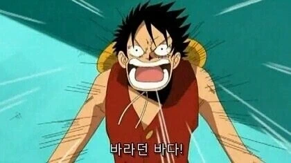 원피스) 작가가 잊지않고 다시 등장시킨 소소한 디테일들 - 이미지 3