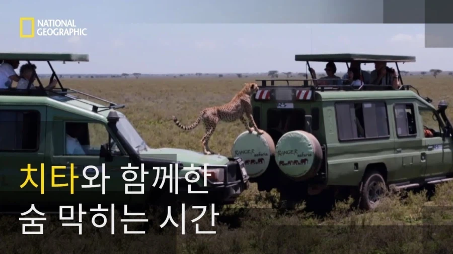 메탈카드봇)그렇지! 아프리카 하면 오지 탐험가지! - 이미지 5