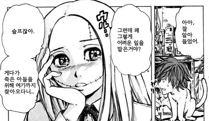 프랑켄 프랑)사람들이 자주 오해하는거.jpg - 이미지 2