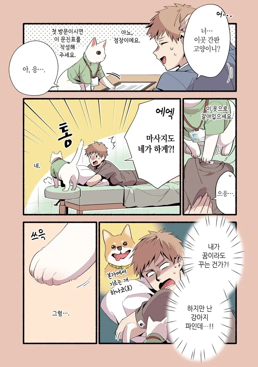 진짜 고양이가 마사지하는 만화 - 이미지 3