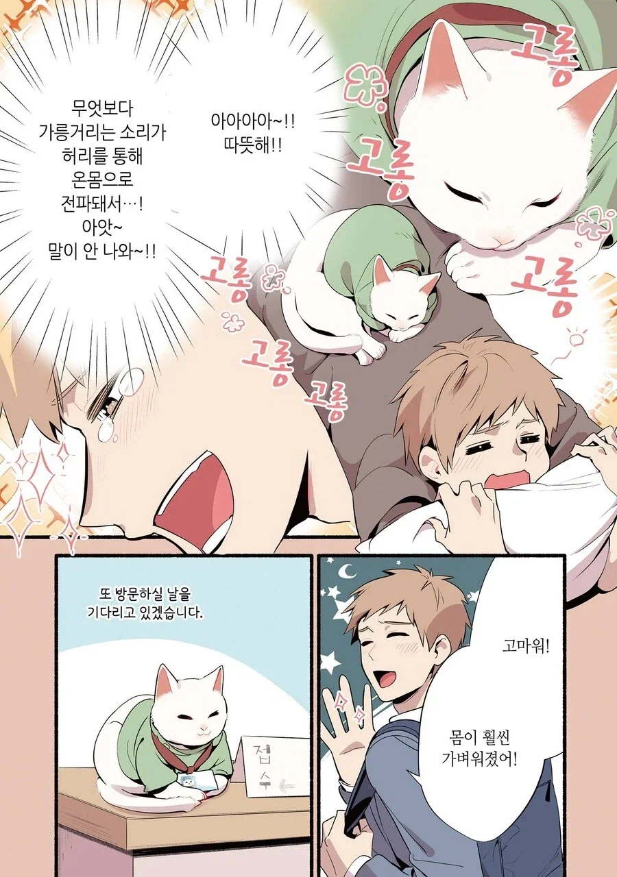 진짜 고양이가 마사지하는 만화 - 이미지 5