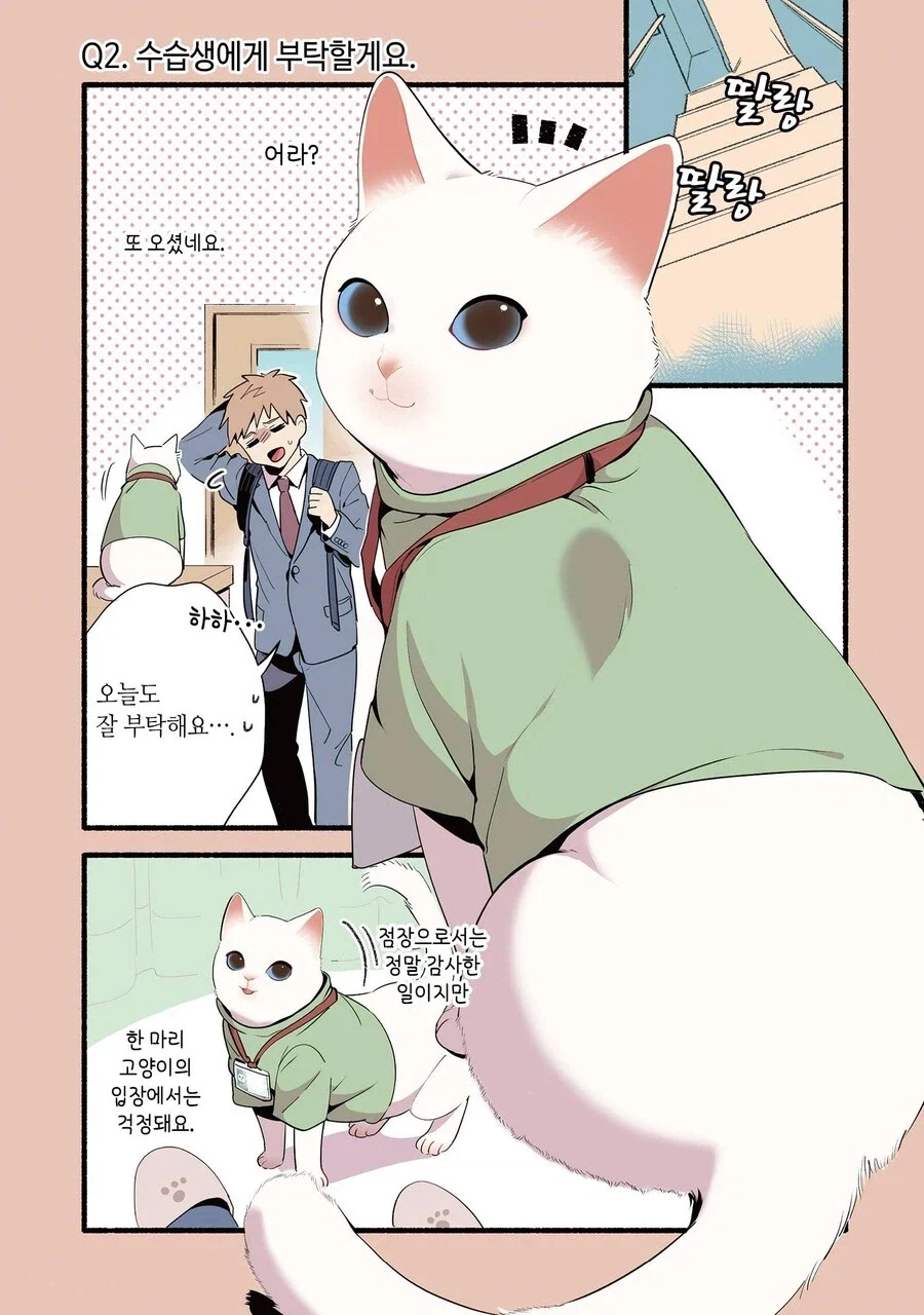 진짜 고양이가 마사지하는 만화 - 이미지 6