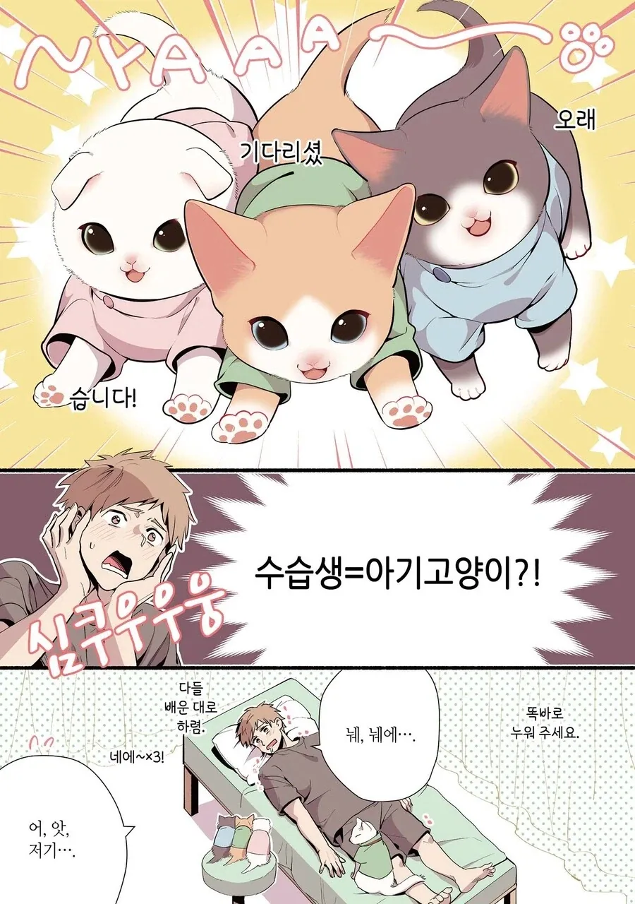 진짜 고양이가 마사지하는 만화 - 이미지 9