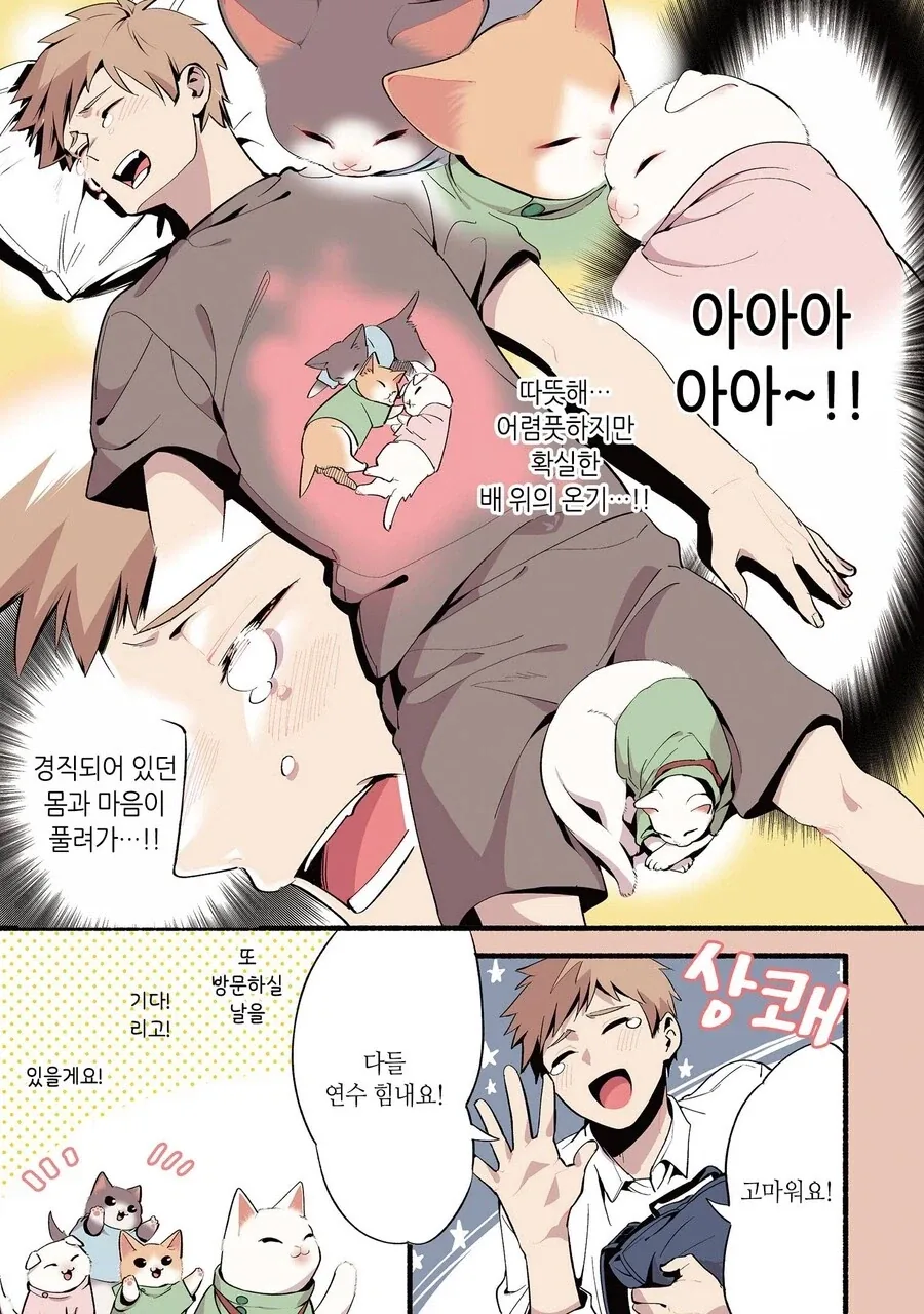 진짜 고양이가 마사지하는 만화 - 이미지 10
