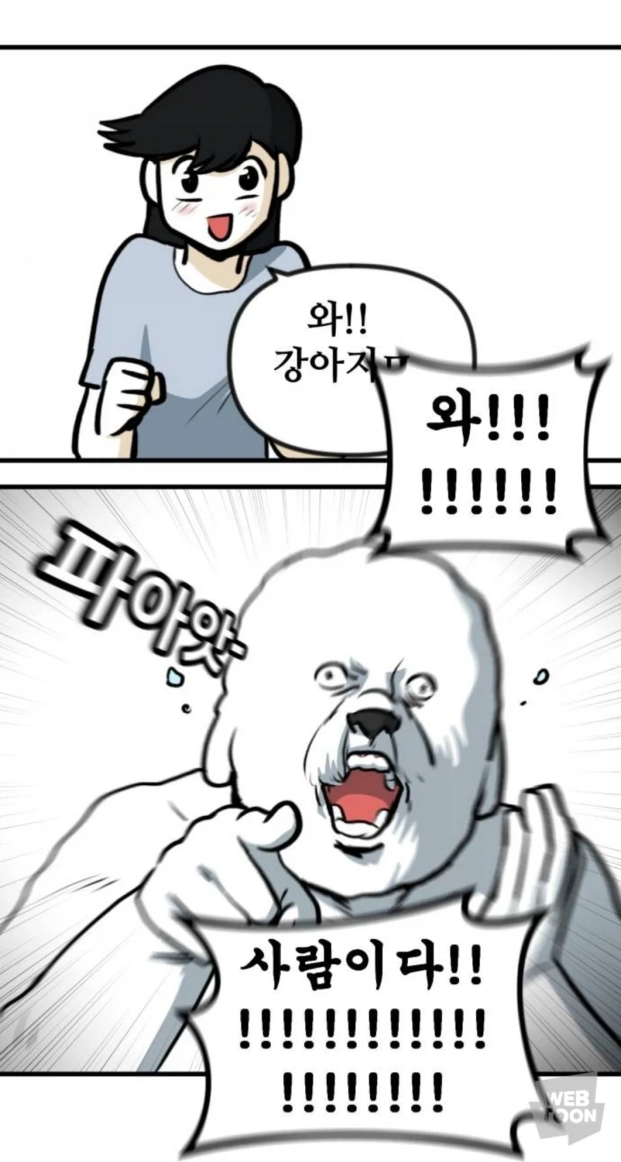 고양이만 키우다 강아지 만나본 뽈쟁이 - 이미지 6