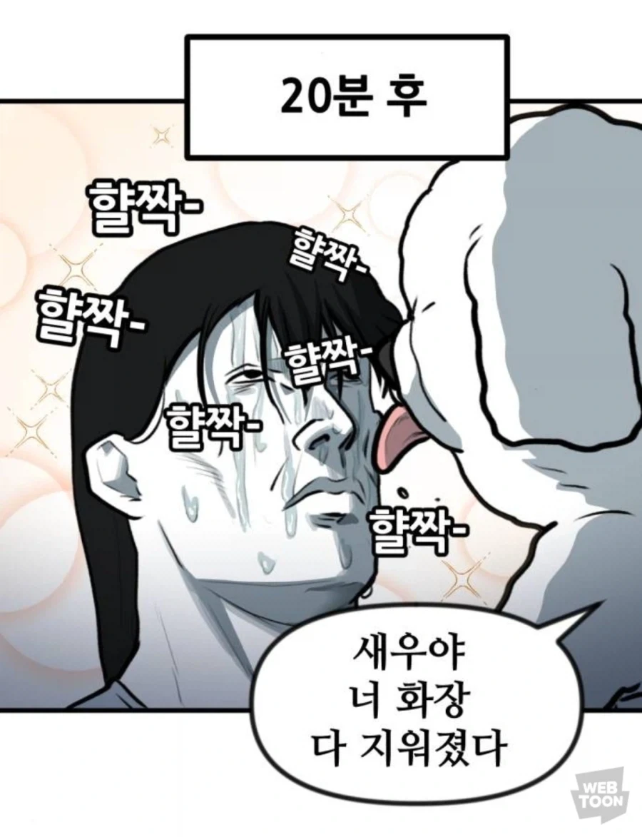 고양이만 키우다 강아지 만나본 뽈쟁이 - 이미지 9