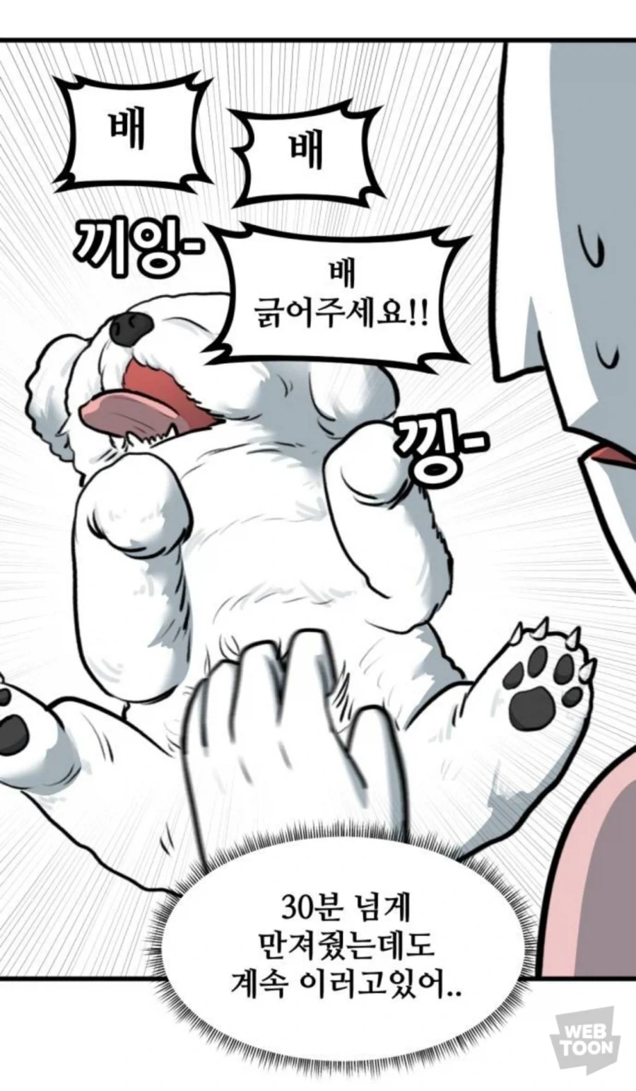 고양이만 키우다 강아지 만나본 뽈쟁이 - 이미지 10