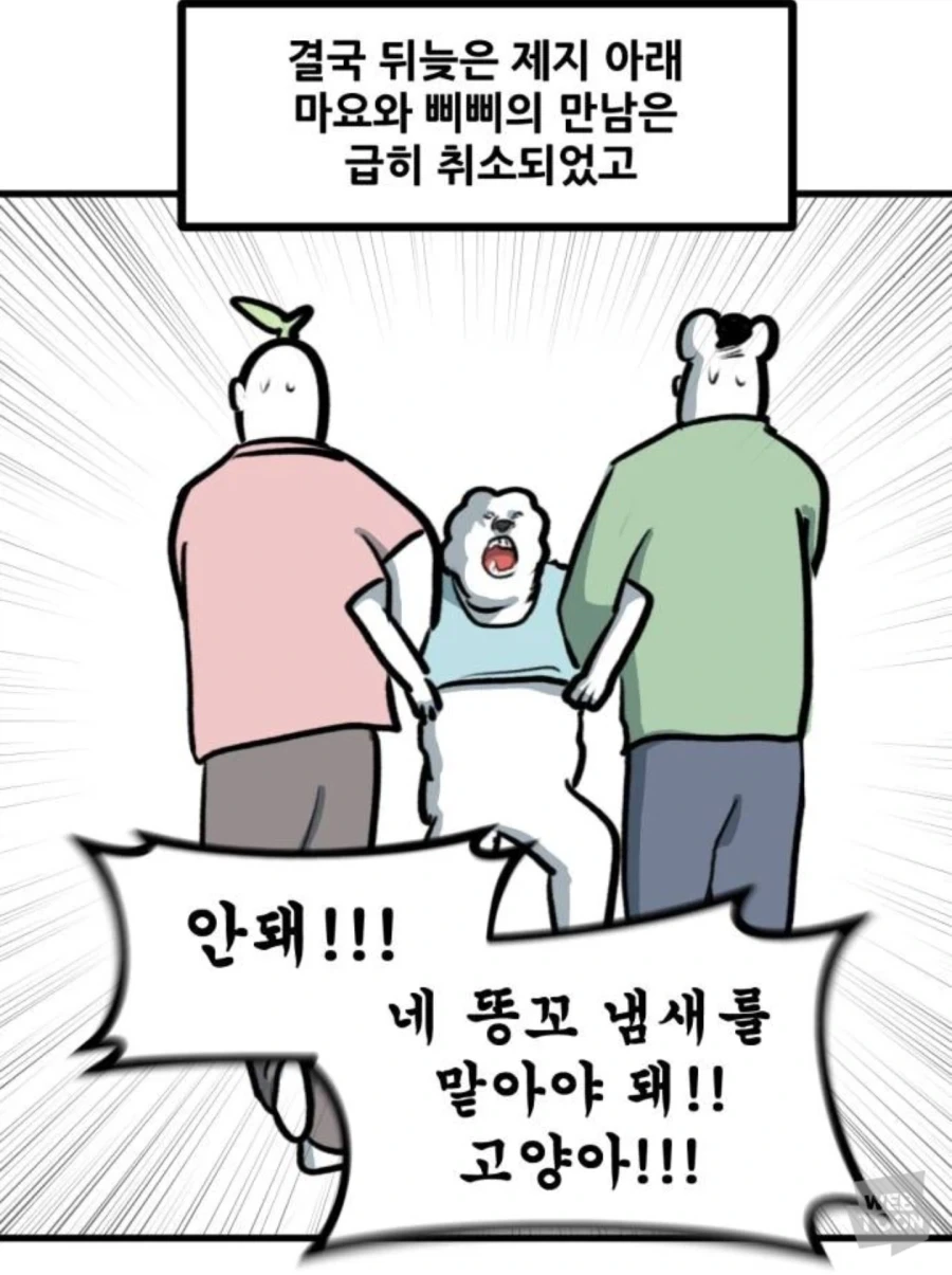 고양이만 키우다 강아지 만나본 뽈쟁이 - 이미지 17