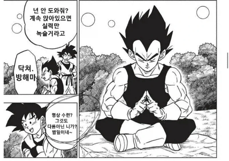 (드래곤볼 슈퍼) 의외로 차이가 나는 디테일 - 이미지 3