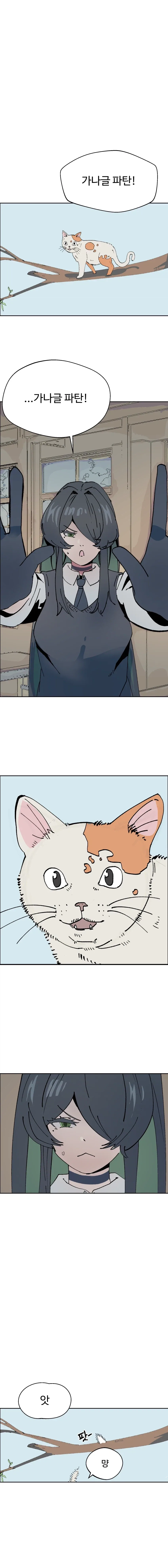 평범한 보어순애물.manhwa 이미지 17