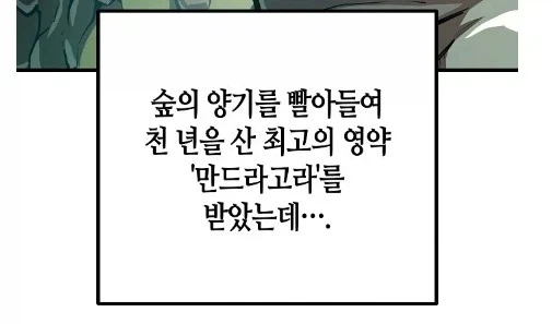 드라이어드의 퀘스트 보상 - 이미지 2