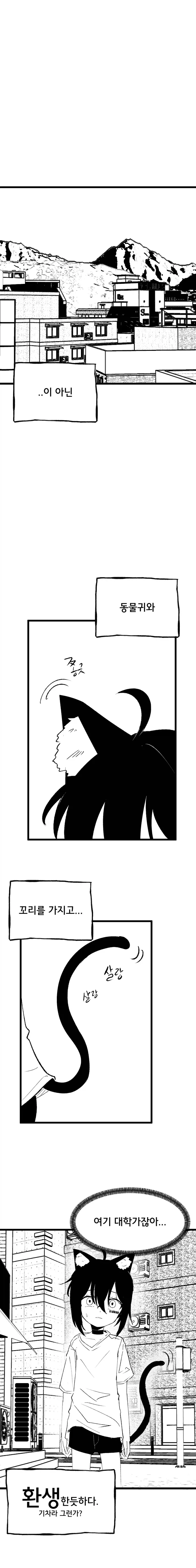 고양이 귀 수인으로 환생한 Manhwa (약 스압) - 이미지 2