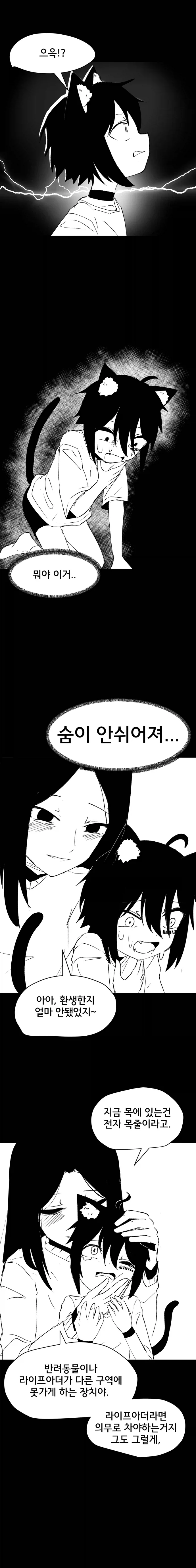 고양이 귀 수인으로 환생한 Manhwa (약 스압) - 이미지 22