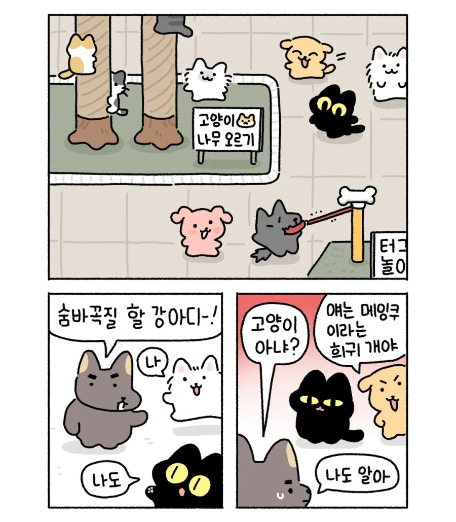 강아지랑 아깽이가 같이 노는 만화.manga - 이미지 3