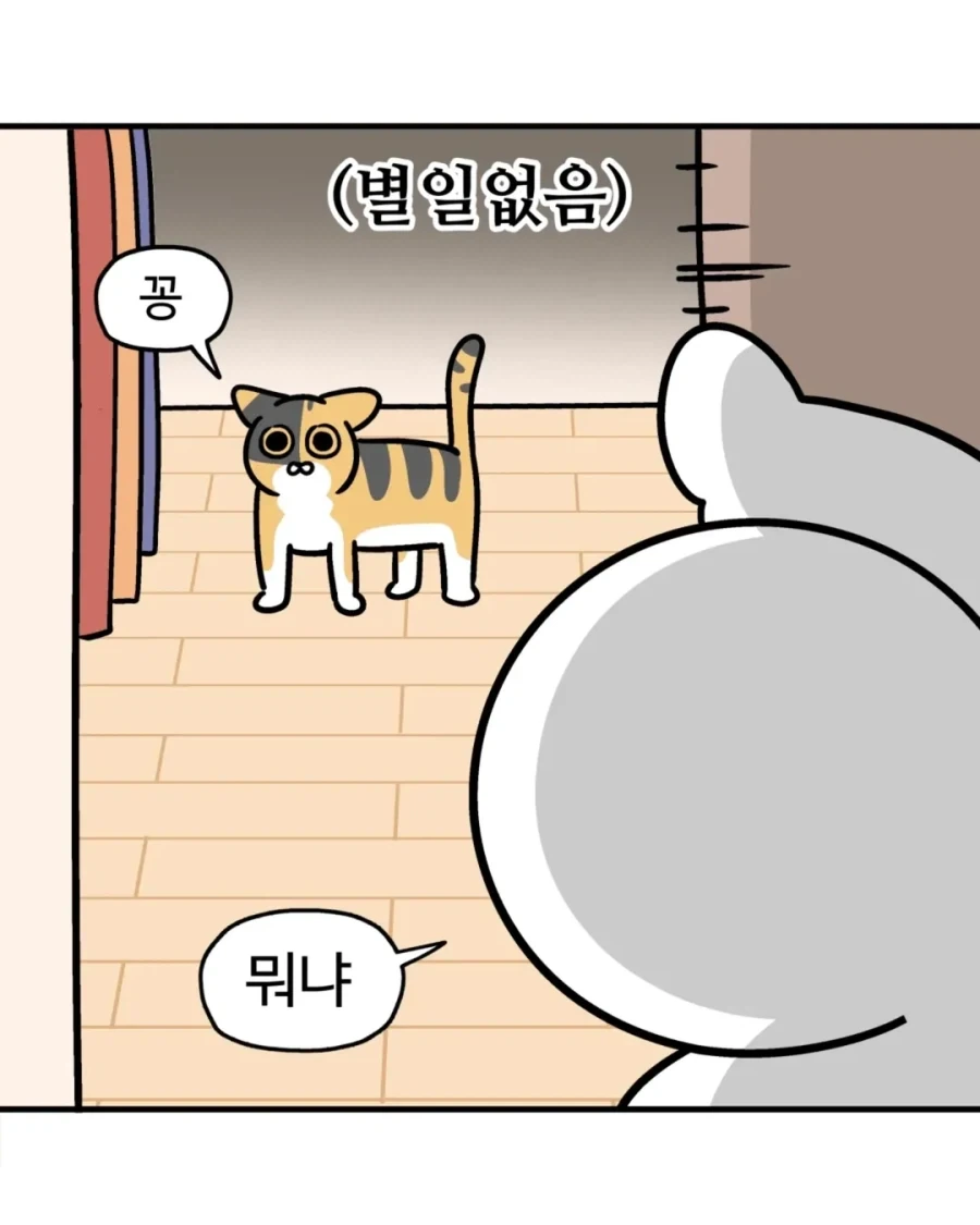 야옹을 하도록 하렴.manwha - 이미지 2