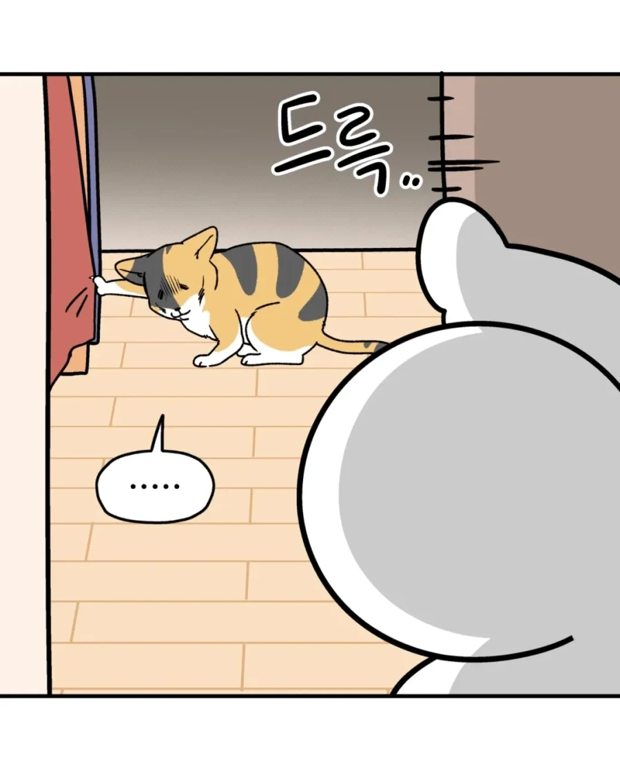 야옹을 하도록 하렴.manwha - 이미지 4