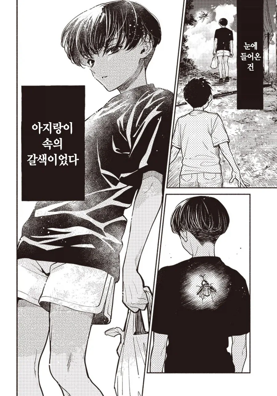 아지랑이 속의 갈색.manhwa - 이미지 2