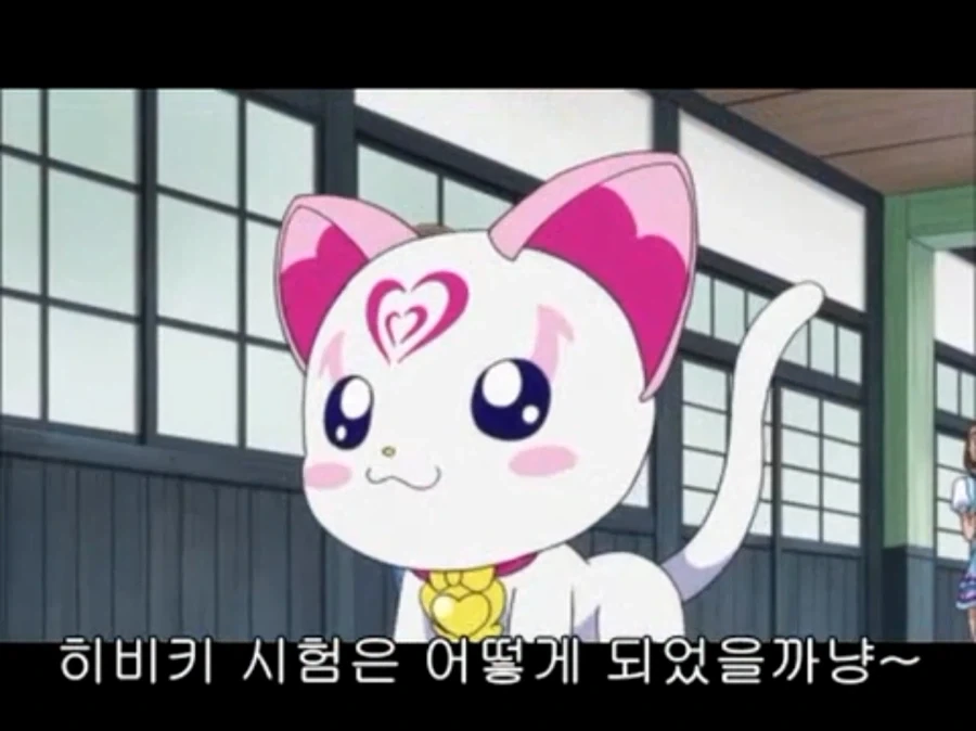 프리큐어) 적일 때보다 아군일 때 더 큰 데미지를 주는 프리큐어