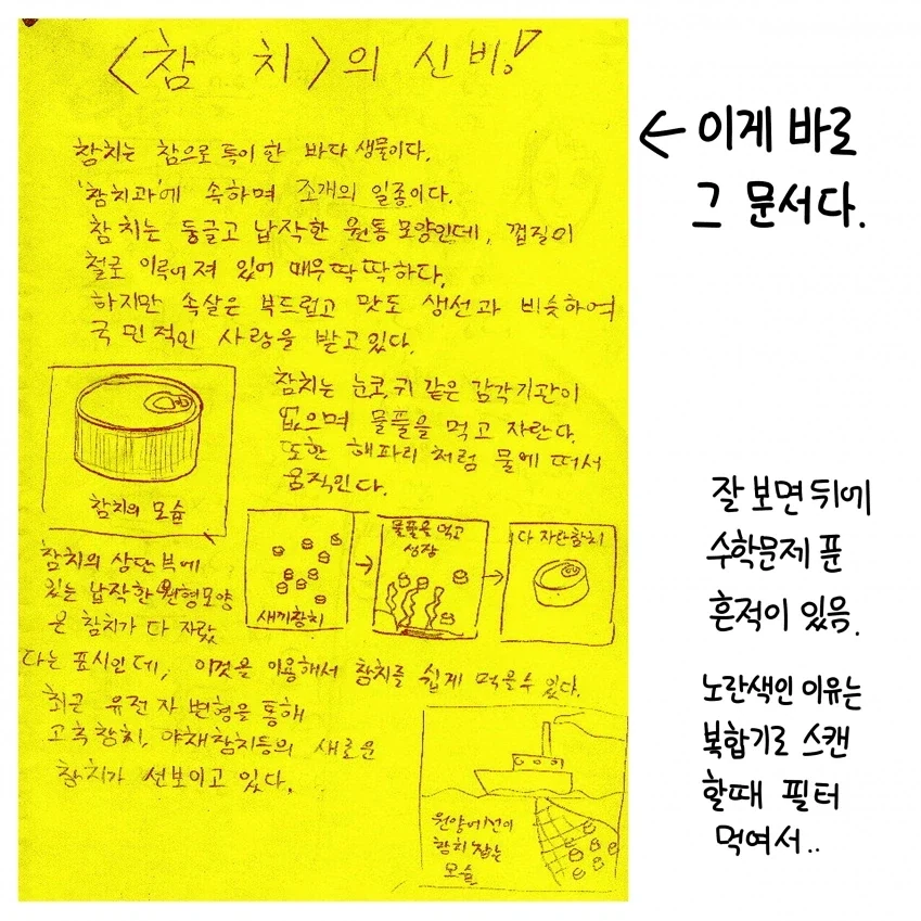 참치의 신비 만화 - 이미지 6