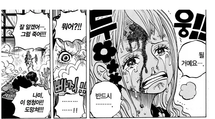 원피스) 사실 루피가 알았으면 노발대발 화를 냈을 상황 - 이미지 2