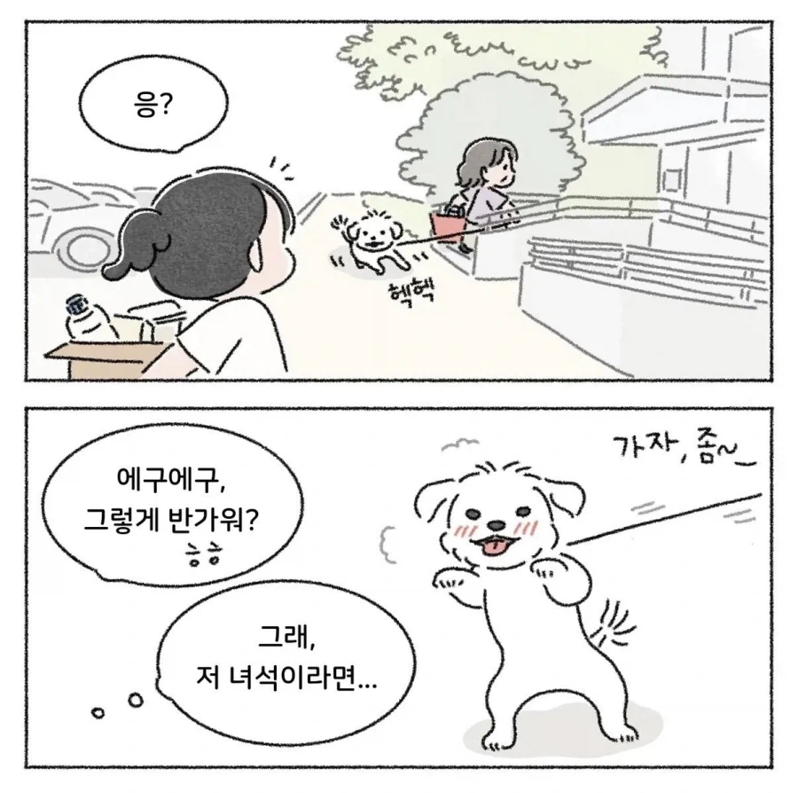 10초 후 전개가 기대되는.manhwa 이미지 11