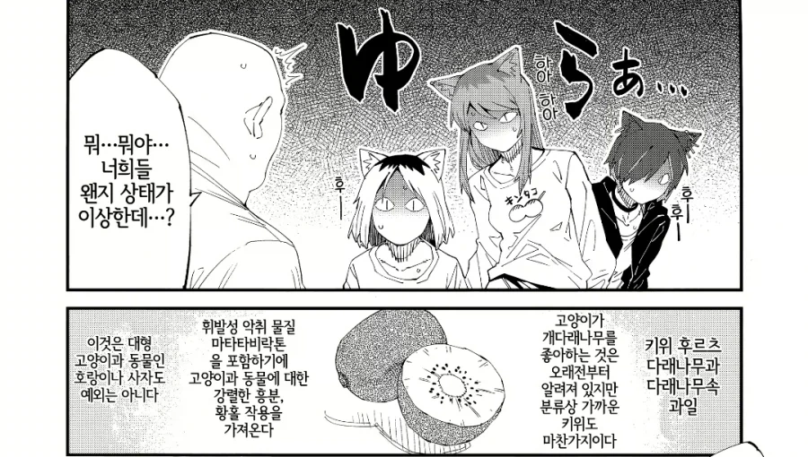 고양이한테 먹이면 안되는 과일 manga - 이미지 3