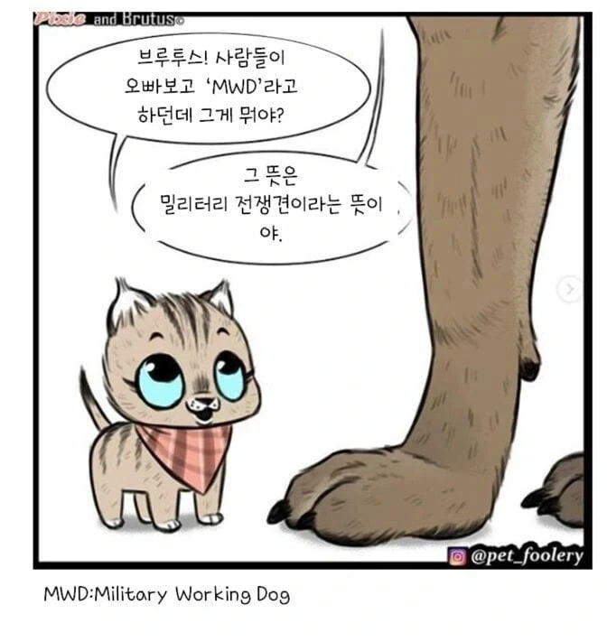 아기고양이와 은퇴군견manga - 이미지 2
