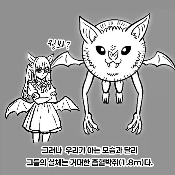 서큐버스에 대한 진실.manhwa - 이미지 2