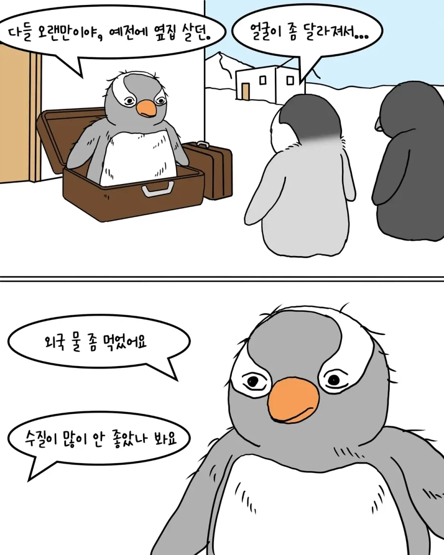 해외에서 돌아온 펭귄 만화.manwha - 이미지 2