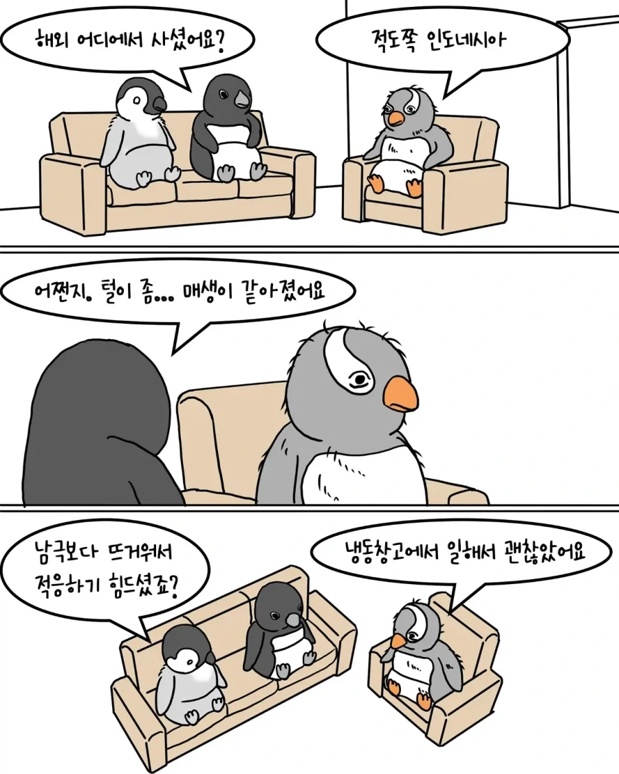 해외에서 돌아온 펭귄 만화.manwha - 이미지 3