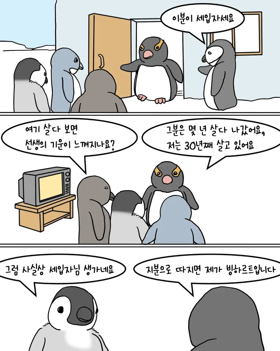 남극 펭귄 위인 생가 관광하는.manwha - 이미지 5
