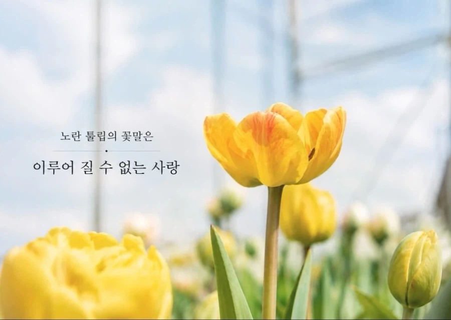 선생님 결혼을 축하하는.Manhwa - 이미지 7