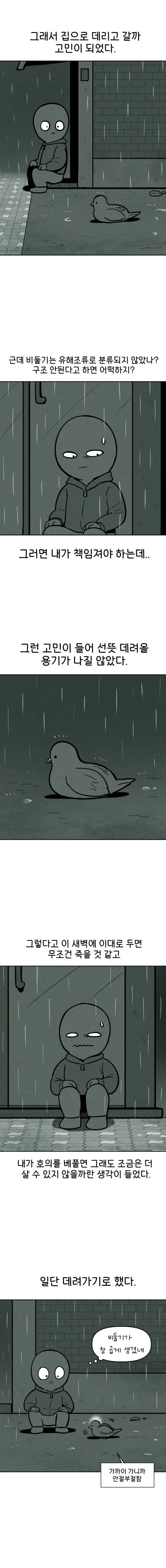비둘기 구조하는 manhwa. - 이미지 4