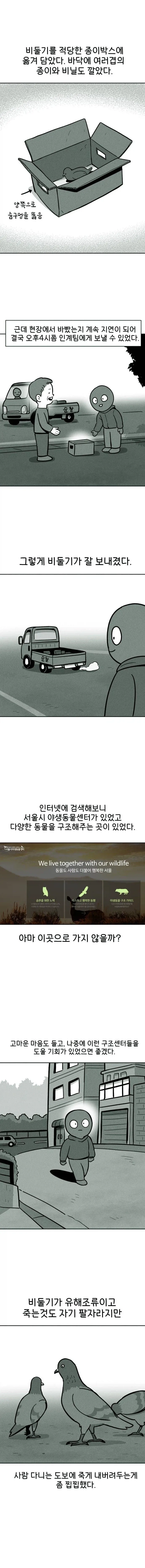 비둘기 구조하는 manhwa. - 이미지 11