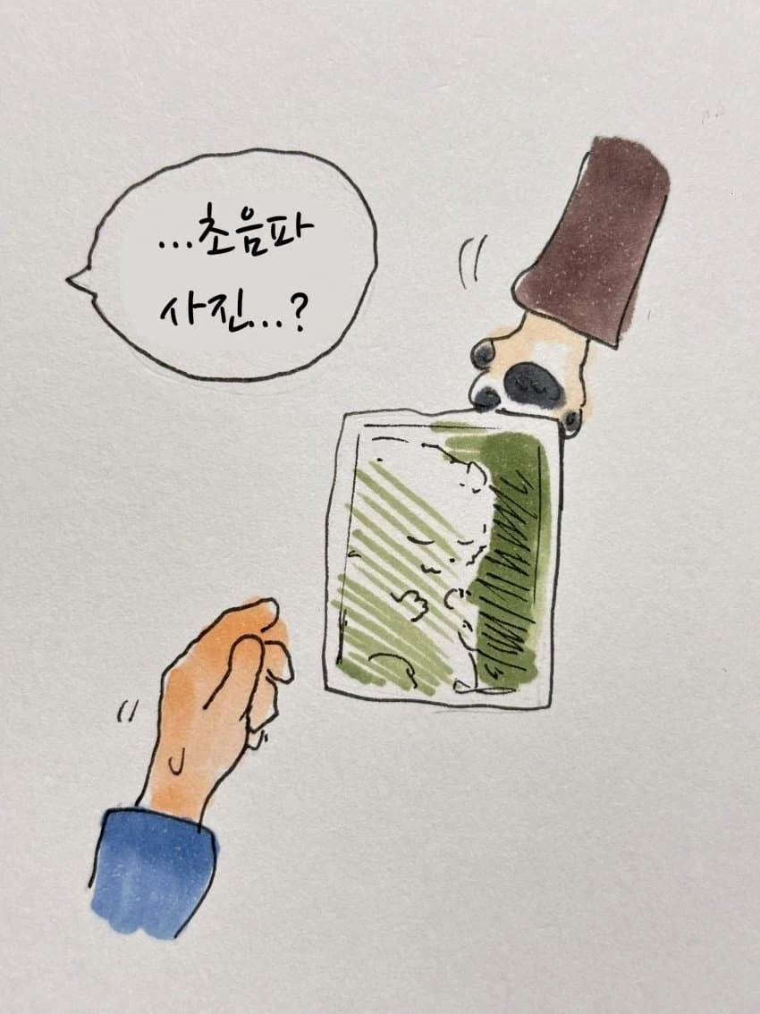 퍼리)임산부 늑대에게 자리를 양보하는 만화.manhwa - 이미지 11