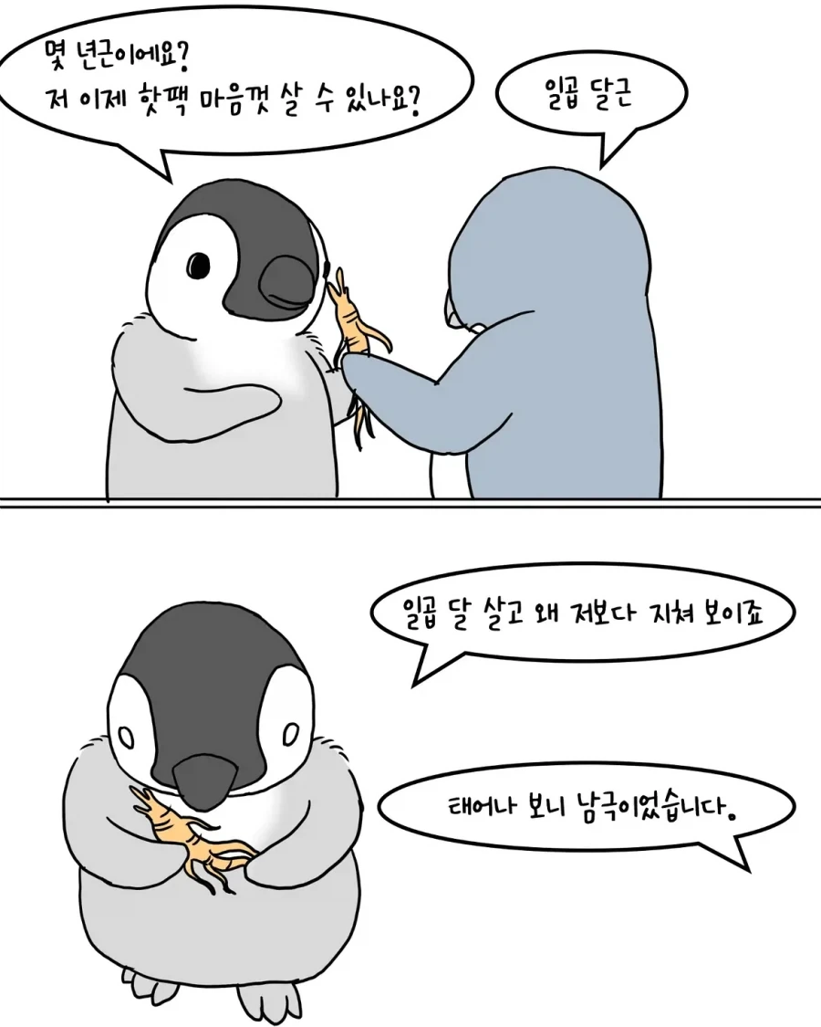 남극 빙하에서 산삼 캐는 만화.manwha - 이미지 8