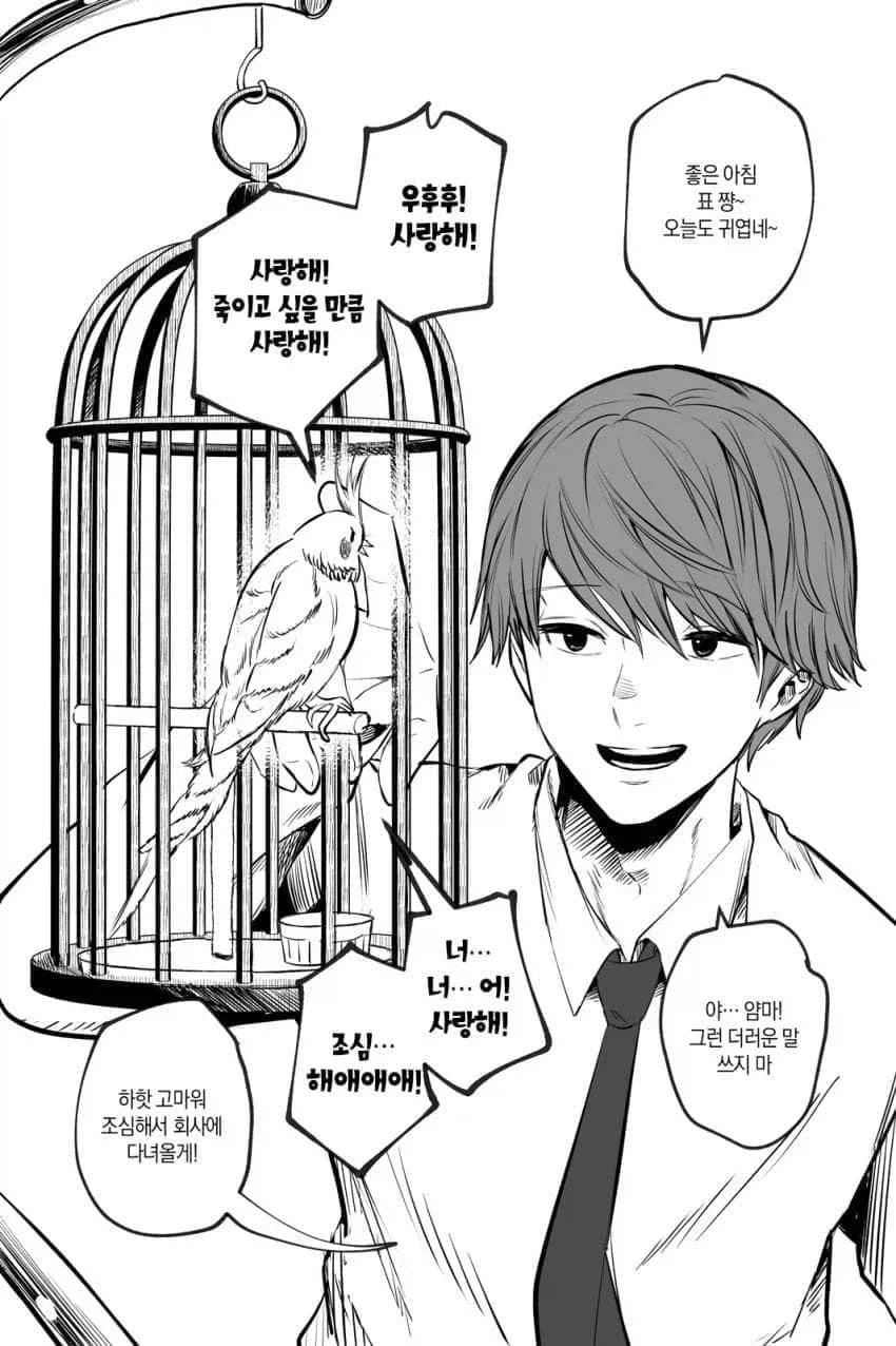 앵무새와 스토커.manhwa