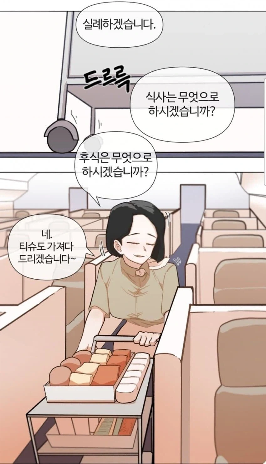 비행기에서 스튜어디스가 뿌닷뿌닷 하는.manhwa - 이미지 9