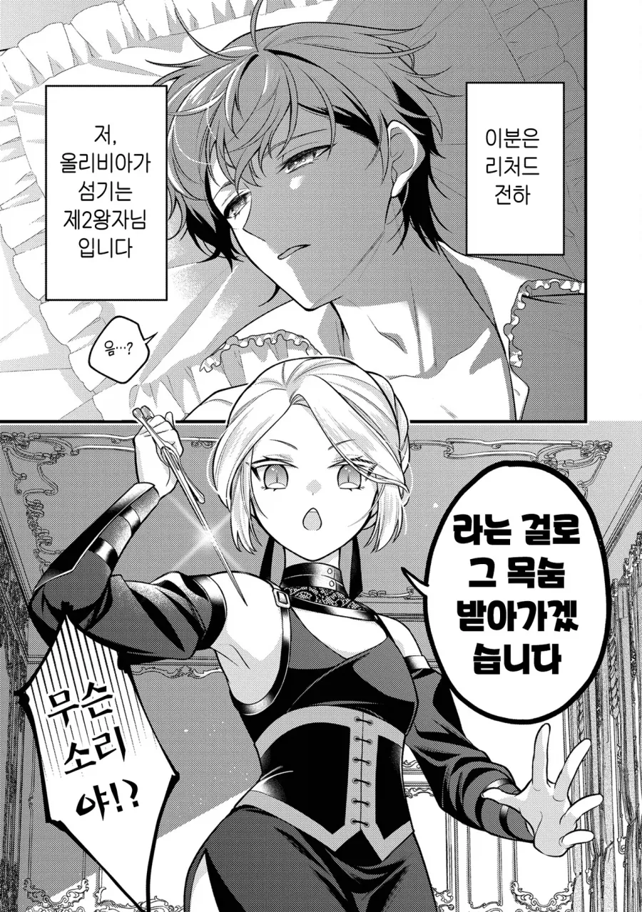 왕자를 암살하려는 왕가의 그림자.manhwa