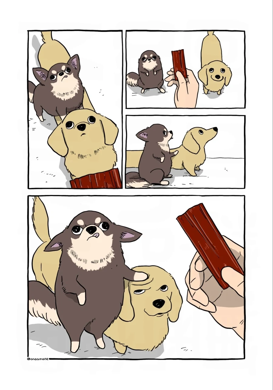 개만화
