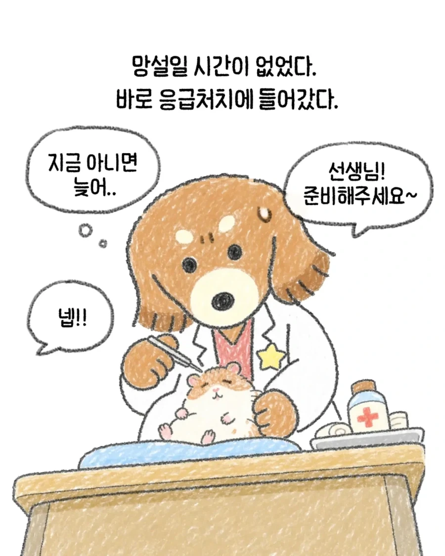 한 수의사가 생각하는 지금 생각해도 잘한 일 .manhwa - 이미지 4