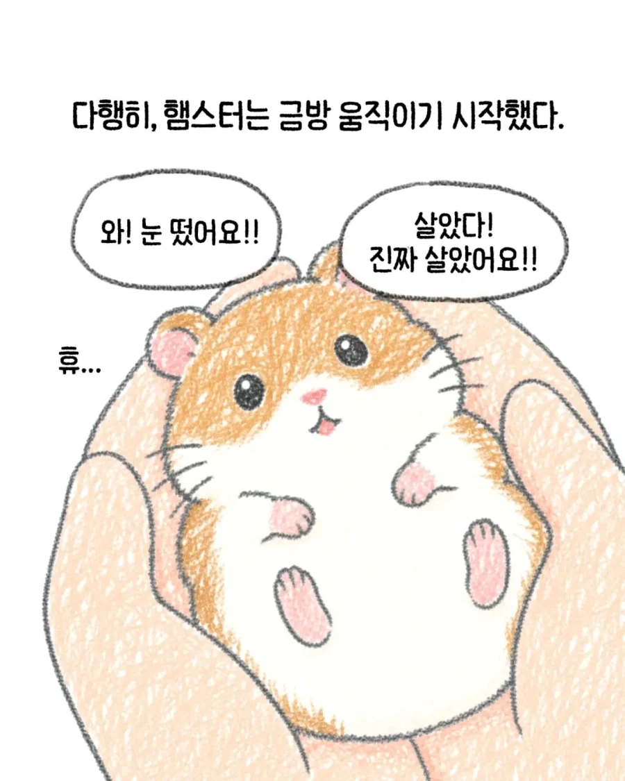 한 수의사가 생각하는 지금 생각해도 잘한 일 .manhwa - 이미지 5