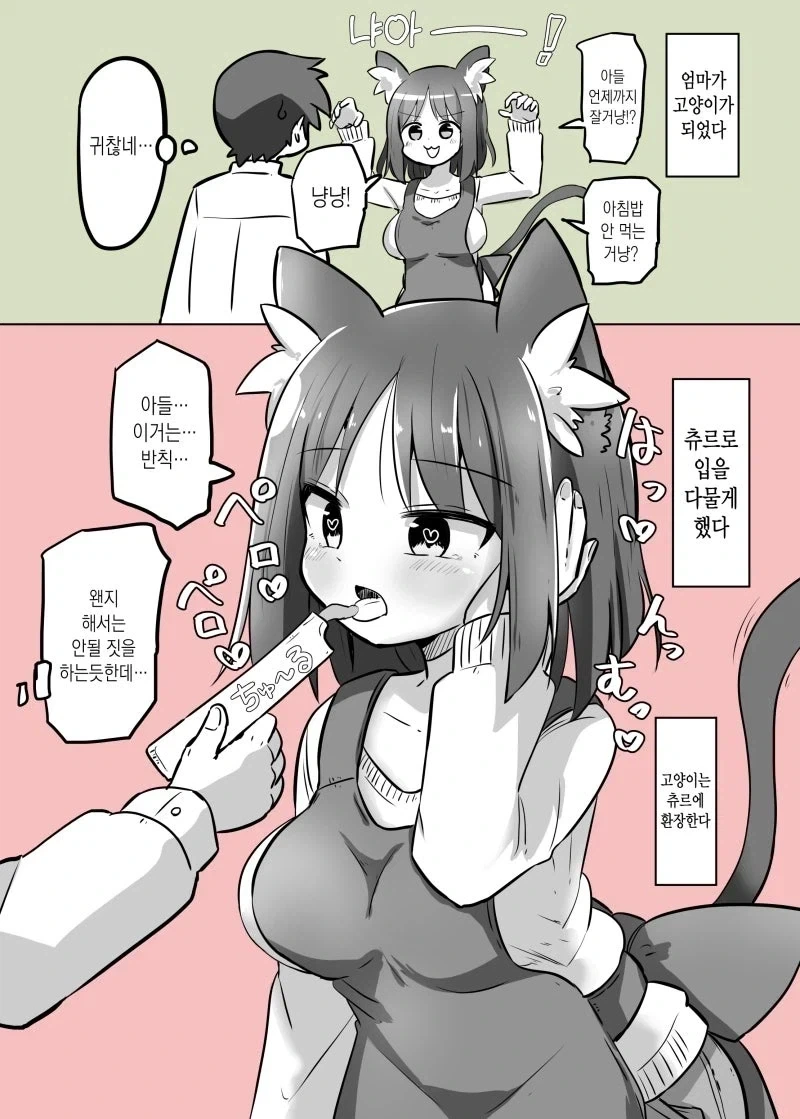 고양이가 되어버린 37살 엄마 만화.manhwa - 이미지 2