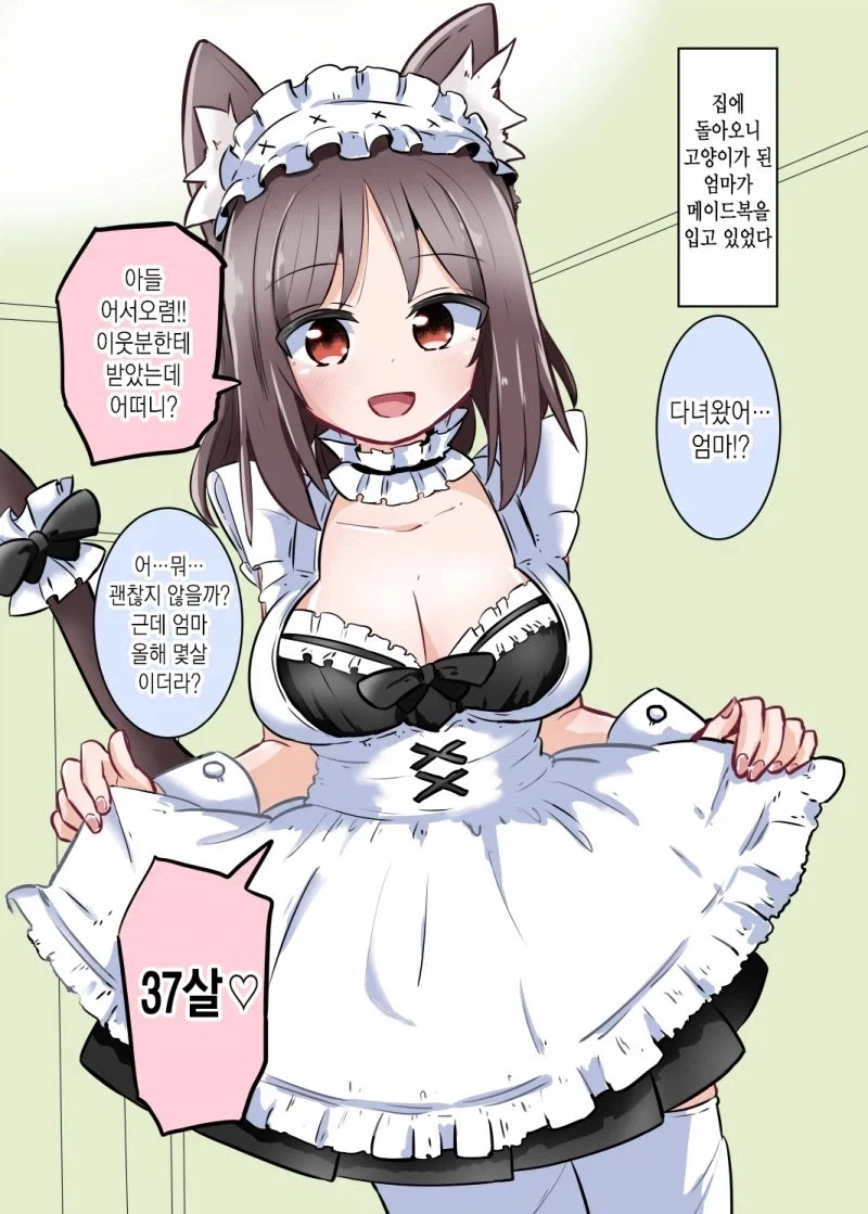 고양이가 되어버린 37살 엄마 만화.manhwa - 이미지 3