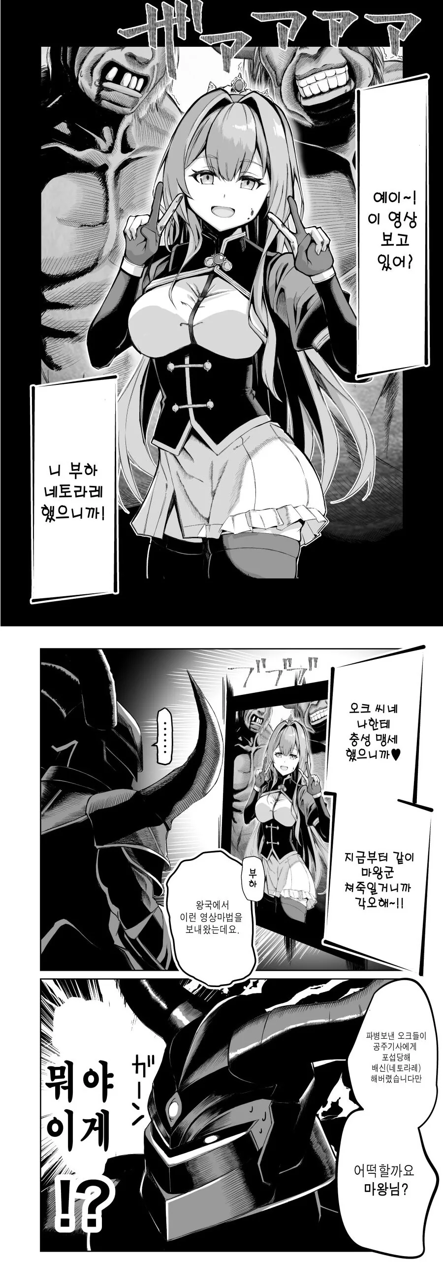공주기사가 영상편지를 보내온 만화.manga