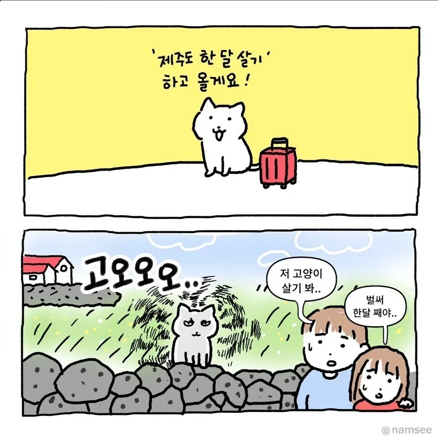 제주도 한 달 살기 하는 고양이.manhwa